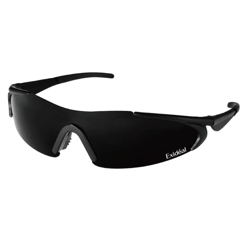 ☆♪エクスイディアル 専用ゴーグル【お取り寄せ】