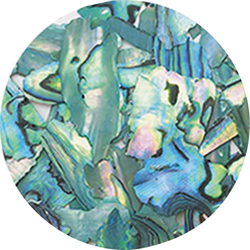 ♪ナチュラルビーチシェル NZ06 グリーンマーブル【お取り寄せ】【ゆうパケット】