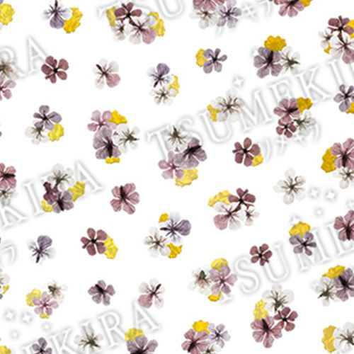 【noble】ドライフラワーと金箔2【ゆうパケット】