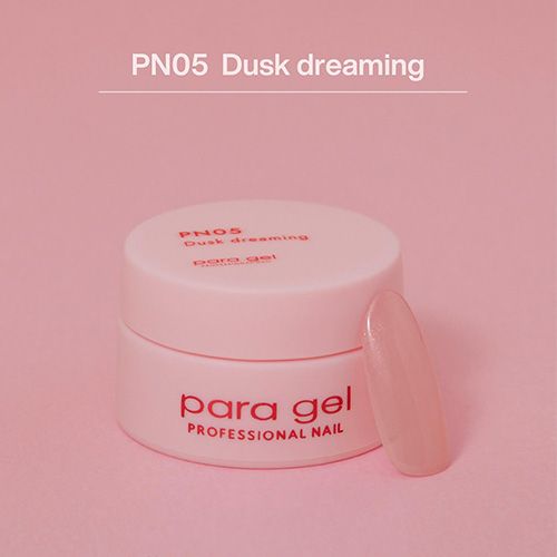 ♪ピンクライン3g PN05 ダスクドリーミング【お取り寄せ】【ゆうパケット】