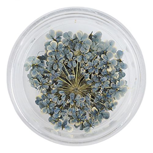 Lace Flower 49BlueMarine【ゆうパケット】