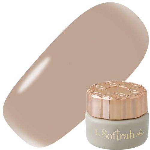 ♪カラージェル 3g B251MS【ゆうパケット】