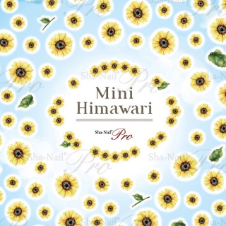 Mini Himawari【ゆうパケット】