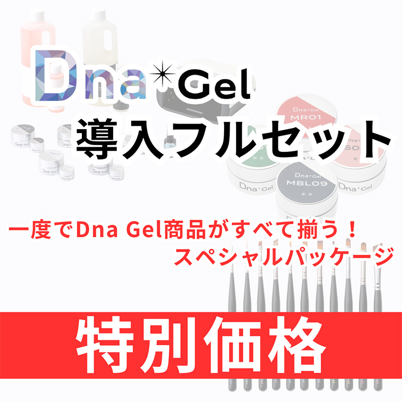 ♪DnaGel導入フルセット【お取り寄せ】