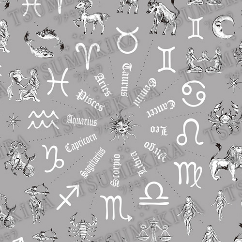 ♪JamboNails 小杉ミサプロデュース Monochrome Zodiac Art【お取り寄せ】【ゆうパケット】