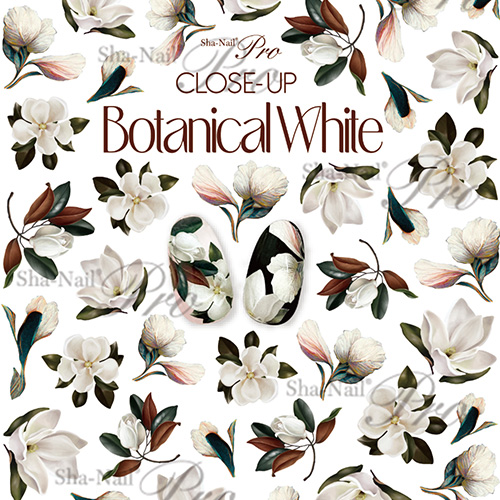 CLOSE-UP Botanical White/クローズアップボタニカル ホワイト【お取り寄せ】【ネコポス】