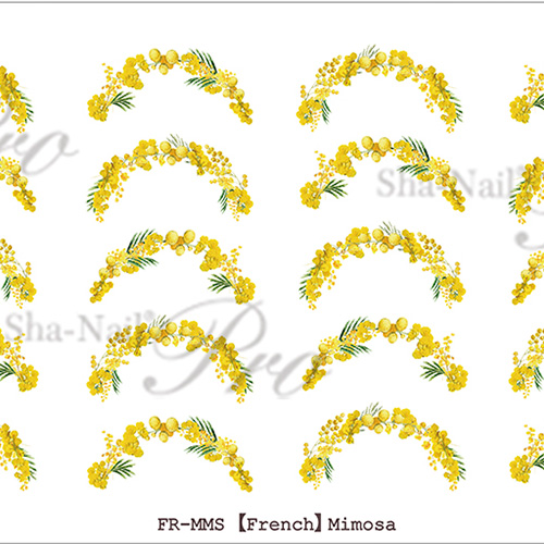 ■【plus/French】Mimosa/ミモザ【ネコポス】