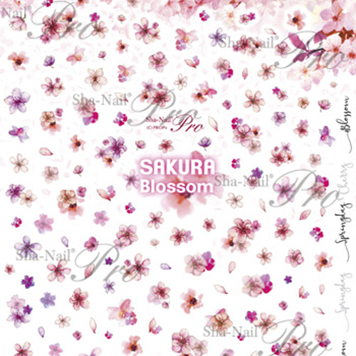 ■☆[3月のおすすめ]【桜シリーズ】Sakura Blossom/サクラブロッサム【ネコポス】