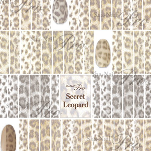 ♪Secret Leopard/シークレット レオパード【ネコポス】