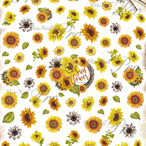 Vintage Sunflowers/ヴィンテージひまわり【お取り寄せ】【ネコポス】