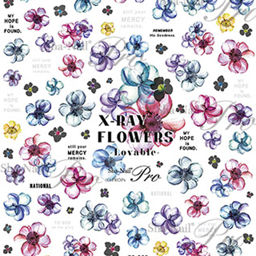 X-Ray Flowers-Lovable-/エックスレイフラワーズ -ラヴァブル-【お取り寄せ】【ネコポス】