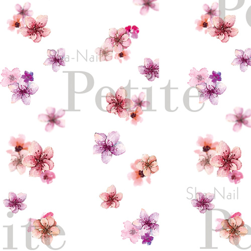 ■☆[3月のおすすめ]【Petite/桜シリーズ】Sakura Blossom【お取り寄せ】【ネコポス】