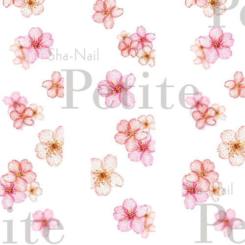 ■☆[3月のおすすめ]【Petite/桜シリーズ】奥ゆきさくら-Mille-feuille blossom-【お取り寄せ】【ネコポス】