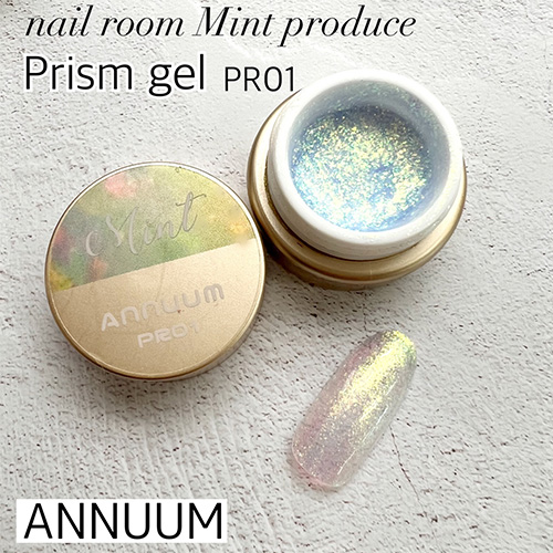 【nail room Mint produce】プリズムジェル3g PR01【ネコポス】