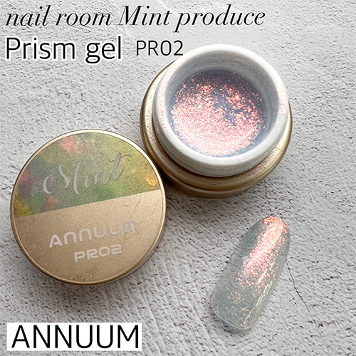 【nail room Mint produce】プリズムジェル3g PR02【ネコポス】