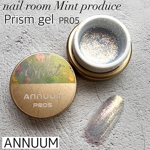 [NEW]【nail room Mint produce】プリズムジェル3g PR05【ネコポス】