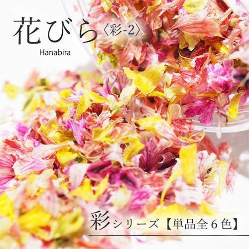 [ネイルNEW]花びら 彩-2【ネコポス】