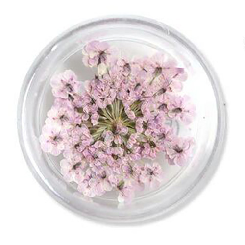 ▲Lace Flower 40LavenderPink【ゆうパケット】